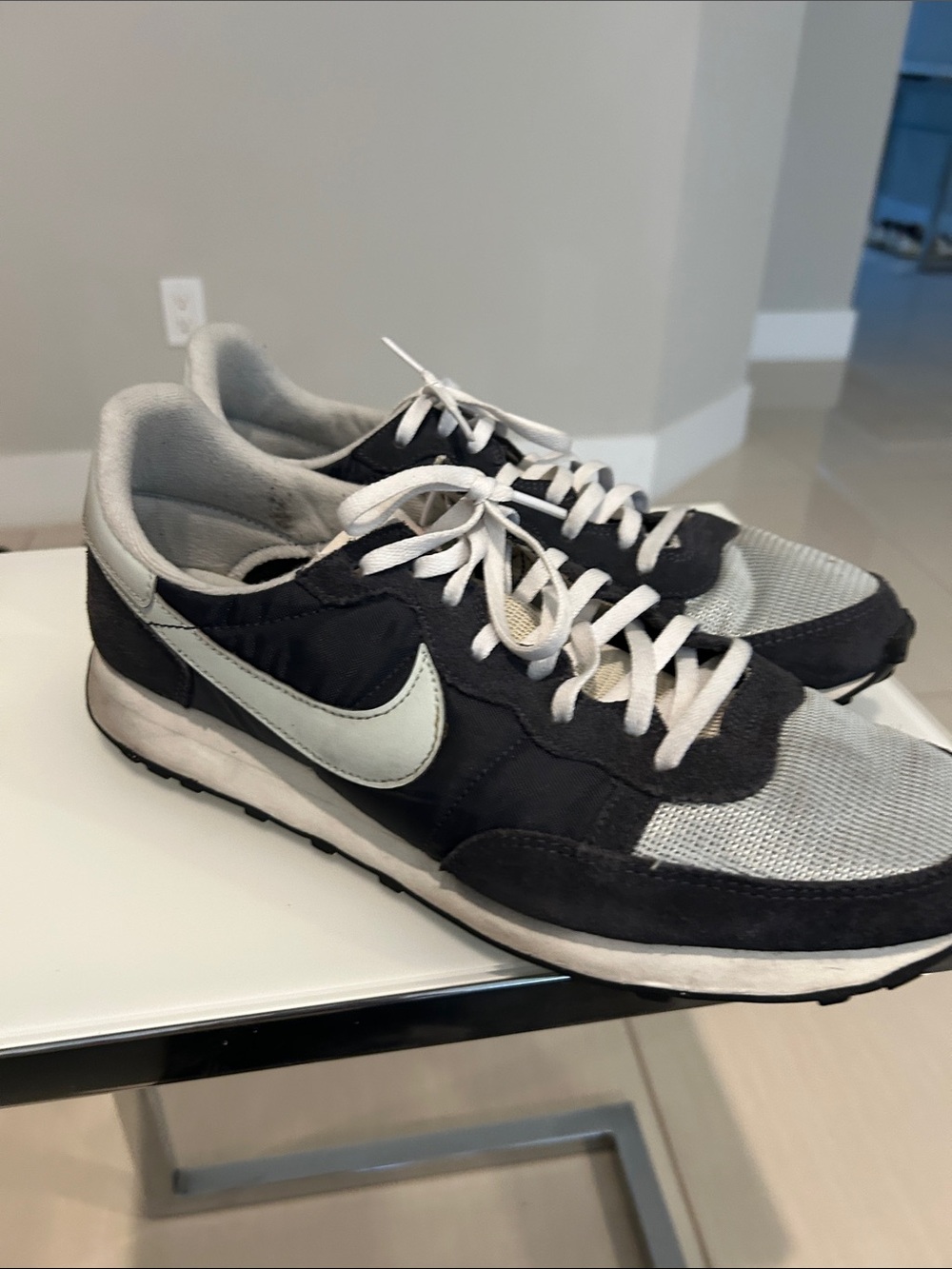 Nike Black and Light Gray Low-Top Sneakers